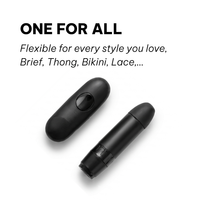 The Pulse — Remote Control Bullet