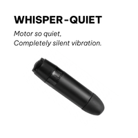 The Pulse — Remote Control Bullet